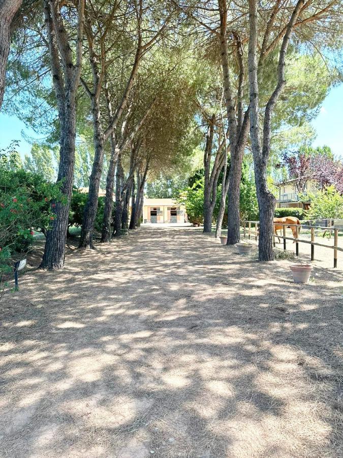 Turfrose Di San Rossore A Pisa By Zoom In Earth Экстерьер фото